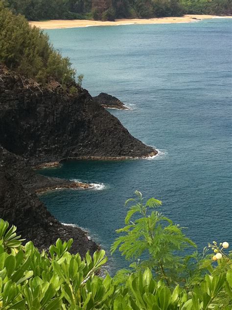 Preserving the Magic: Environmental Conservation Efforts in Seaward Kauai